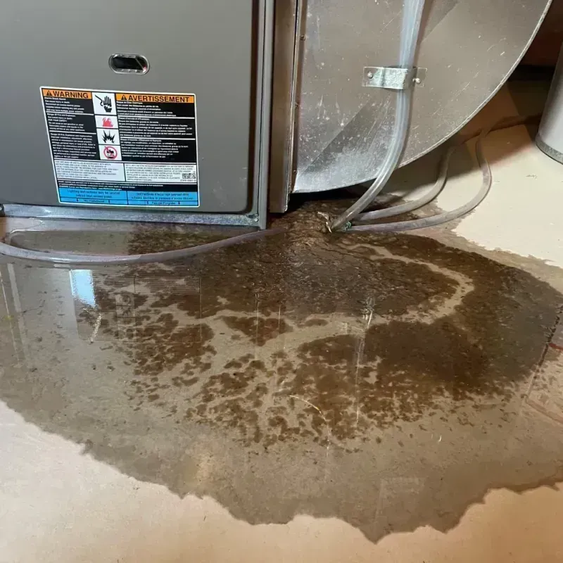 Appliance Leak Cleanup in Buffalo, MO